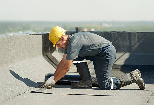 Best Attic Insulation Installation  in Knoxville, TN