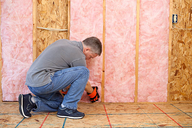 Best Basement Insulation  in Knoxville, TN