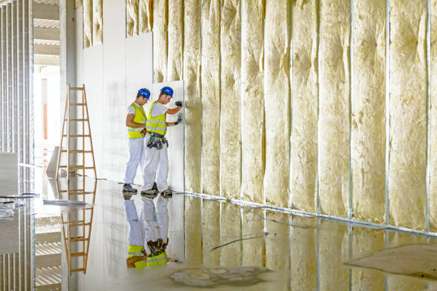 Best Attic Insulation Installation  in Knoxville, TN